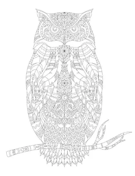 Free Adult Coloring Picture To Color In