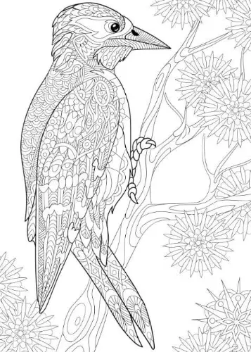 Free Adult Coloring Picture To Color In