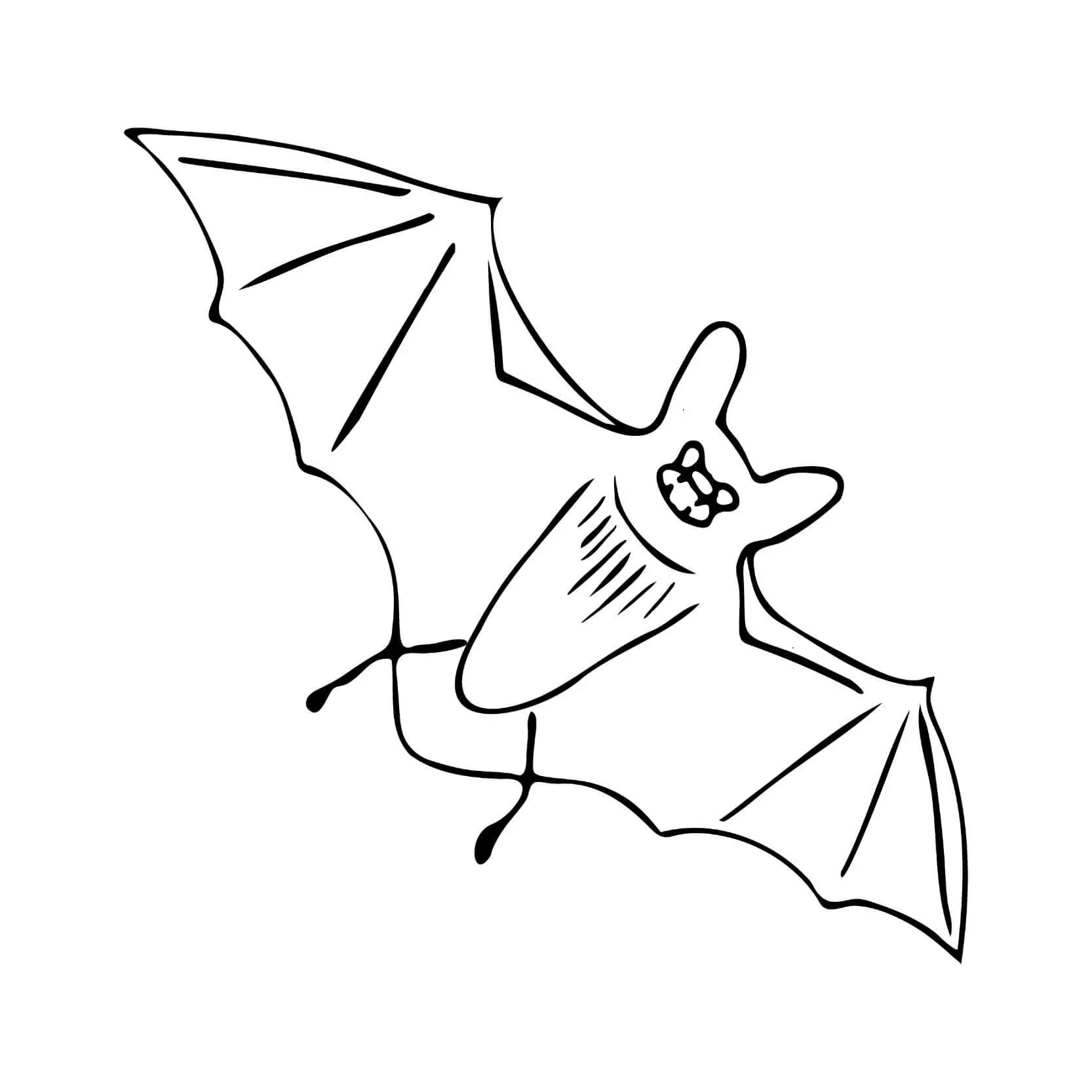 Free Bat Picture To Color In