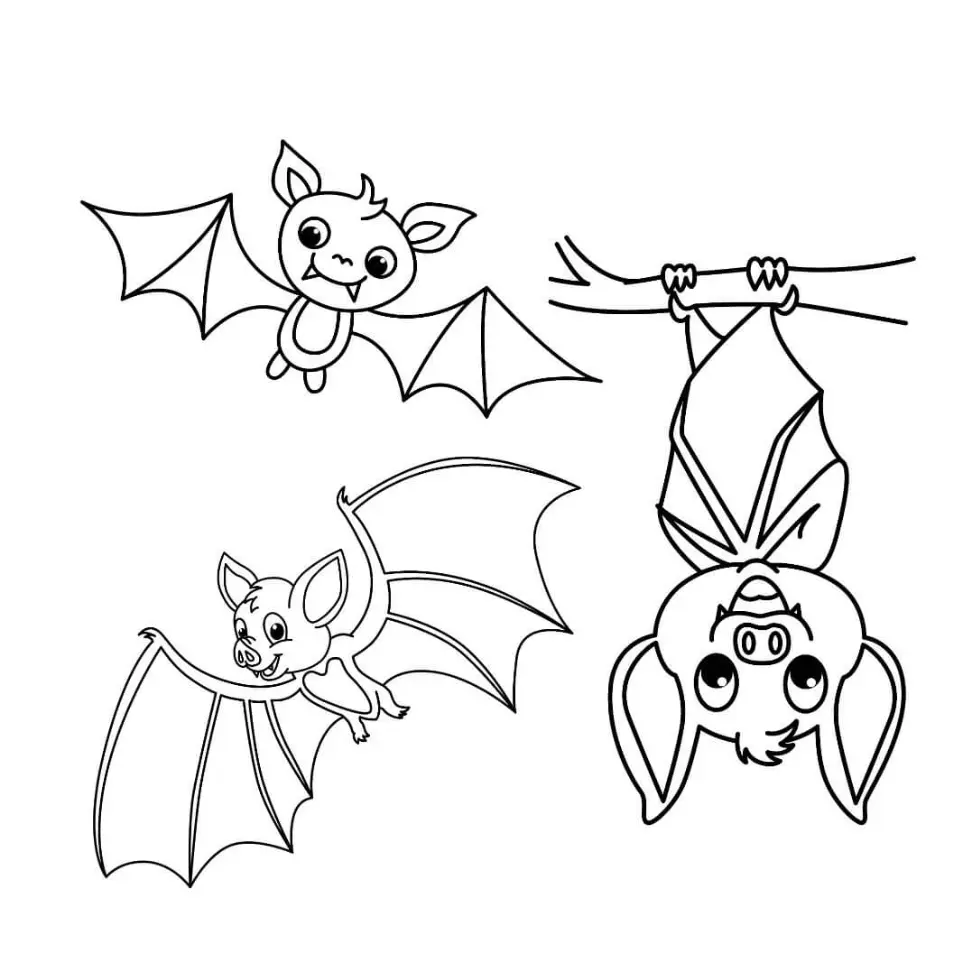 Free Bat Picture To Color In