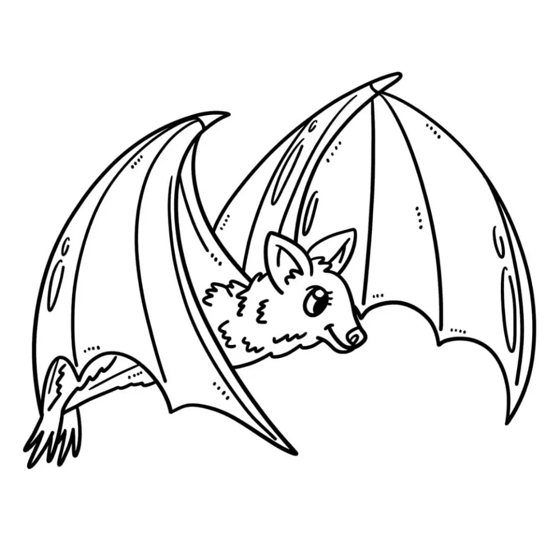 Free Bat Picture To Color In