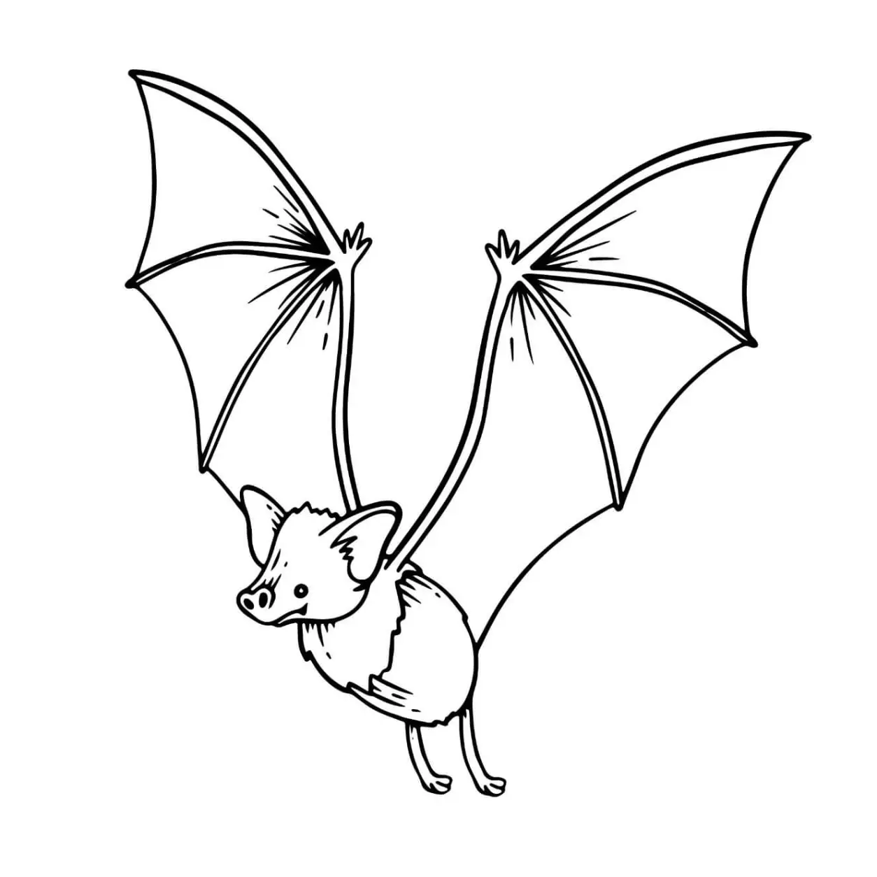 Free Bat Picture To Color In