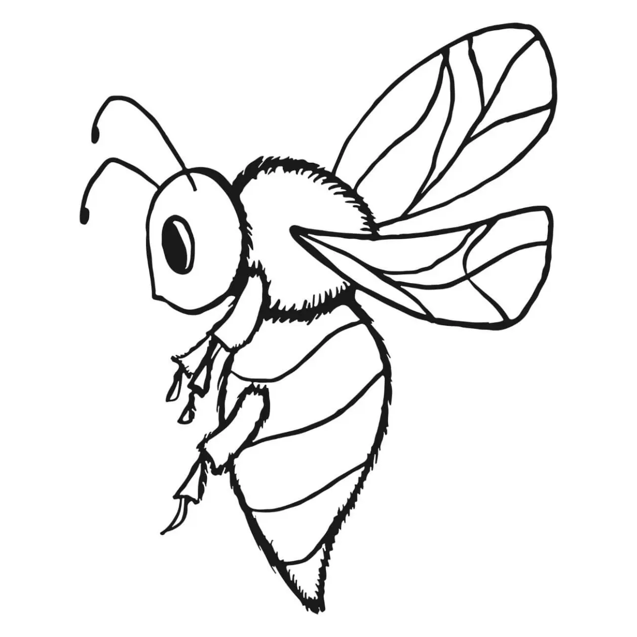 Free Bee Picture To Color In