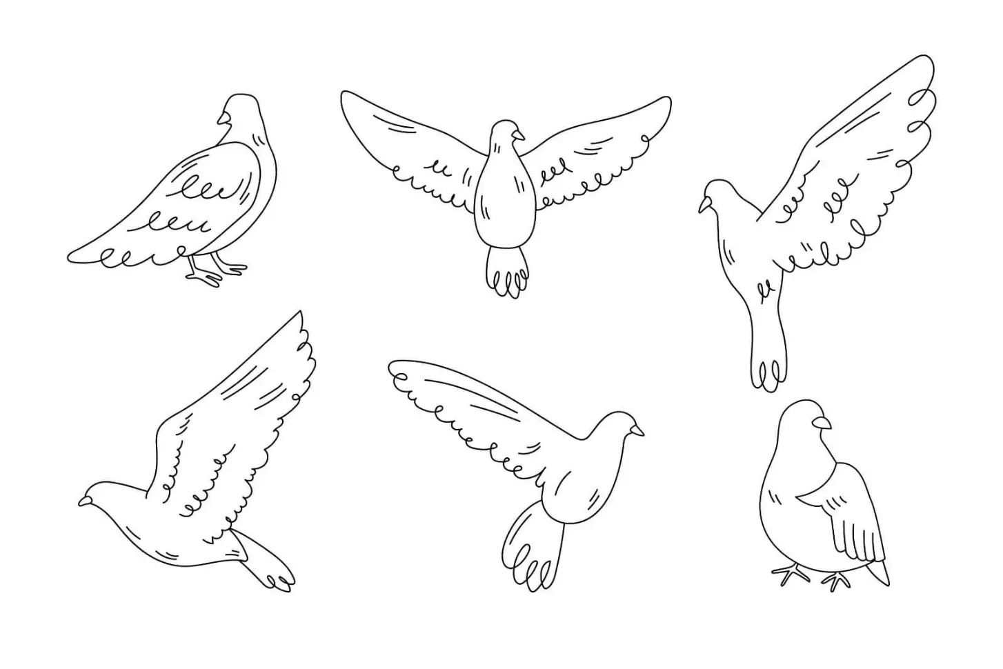 Free Bird Picture To Color In