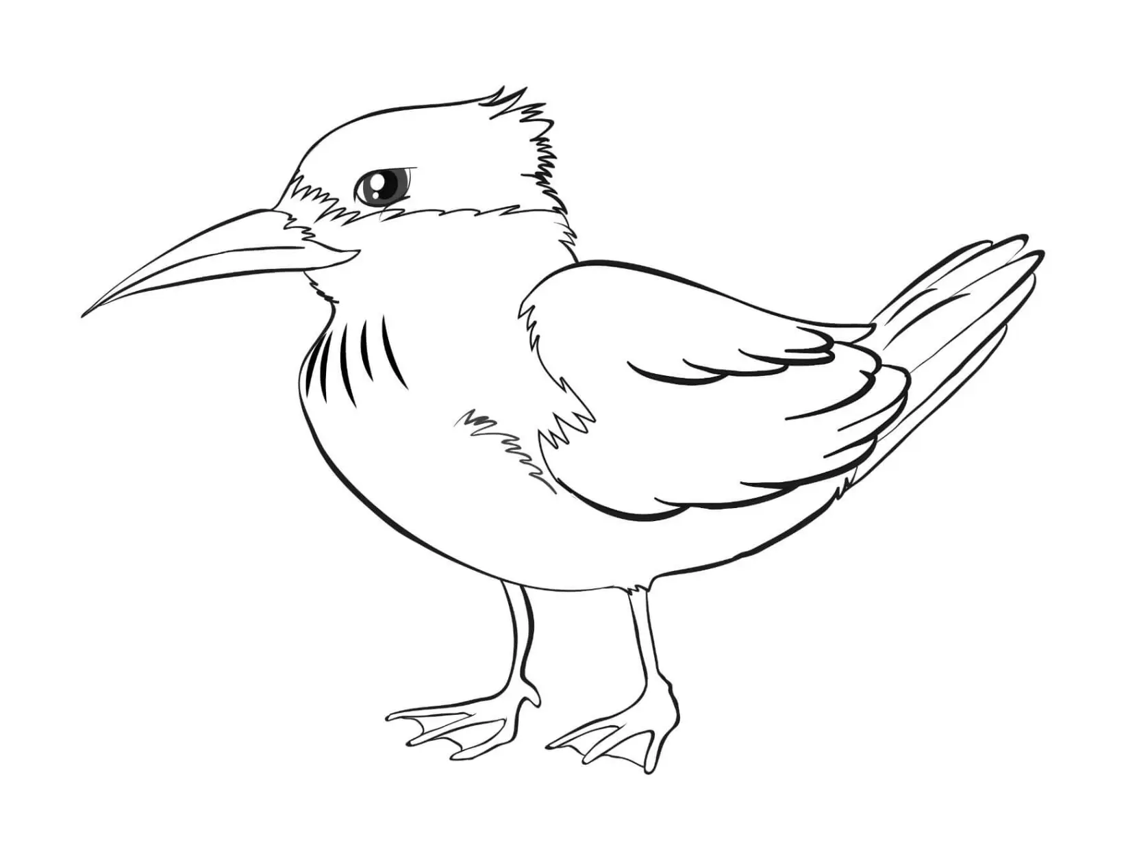 Free Bird Picture To Color In