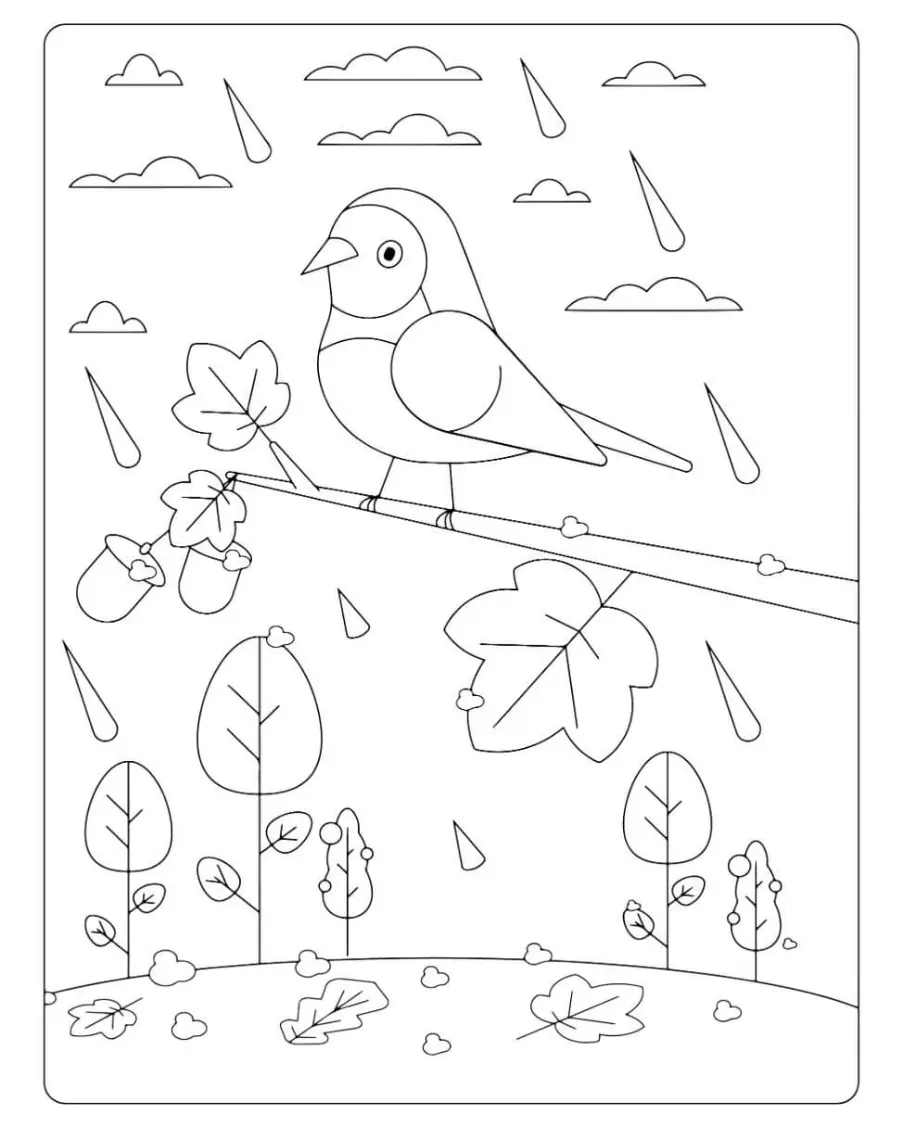 Free Bird Picture To Color In