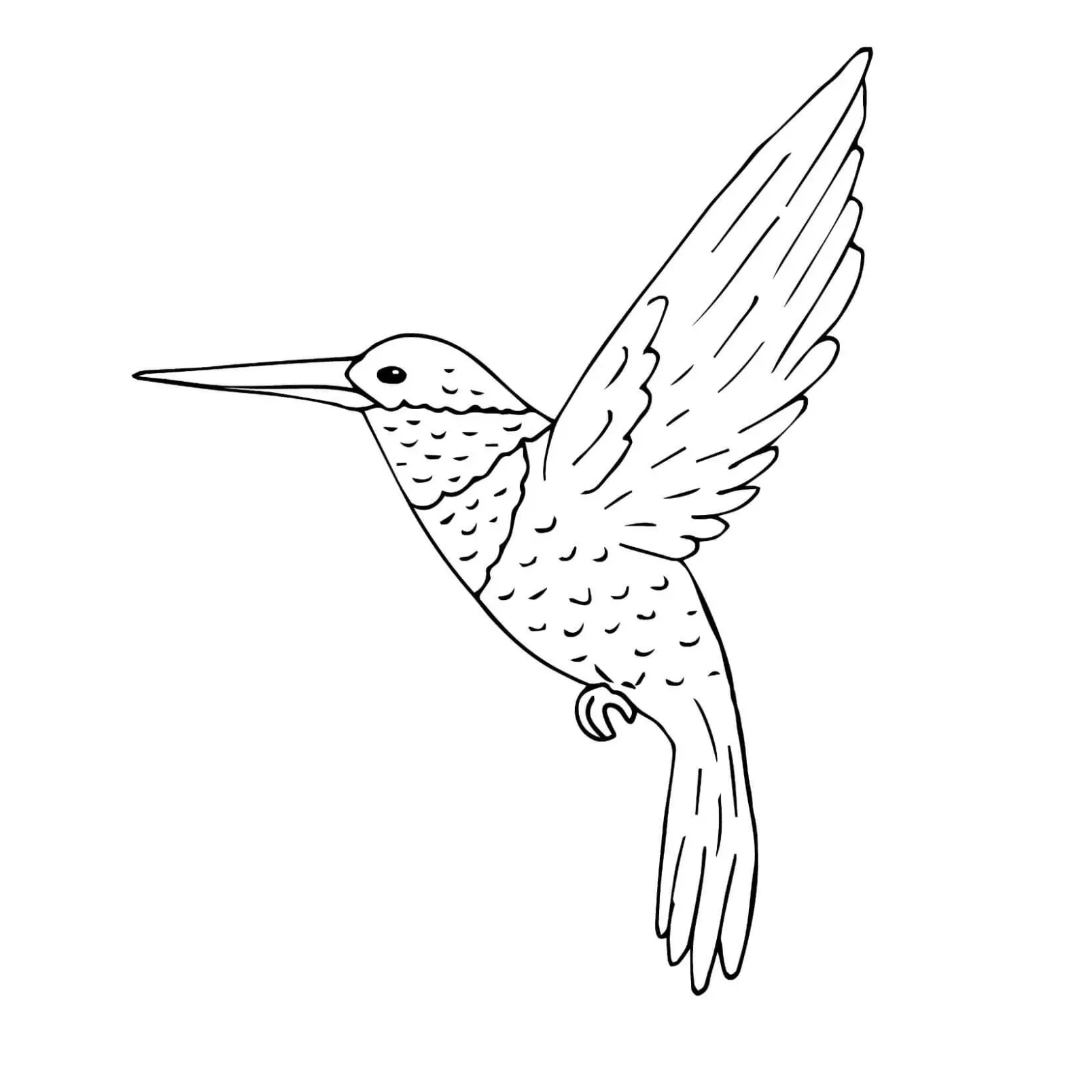 Free Bird Picture To Color In