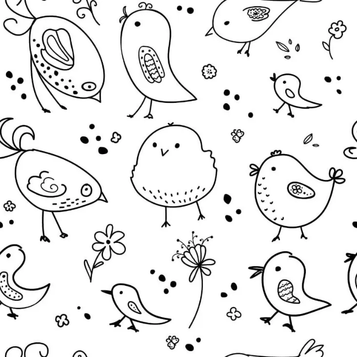 Free Bird Picture To Color In