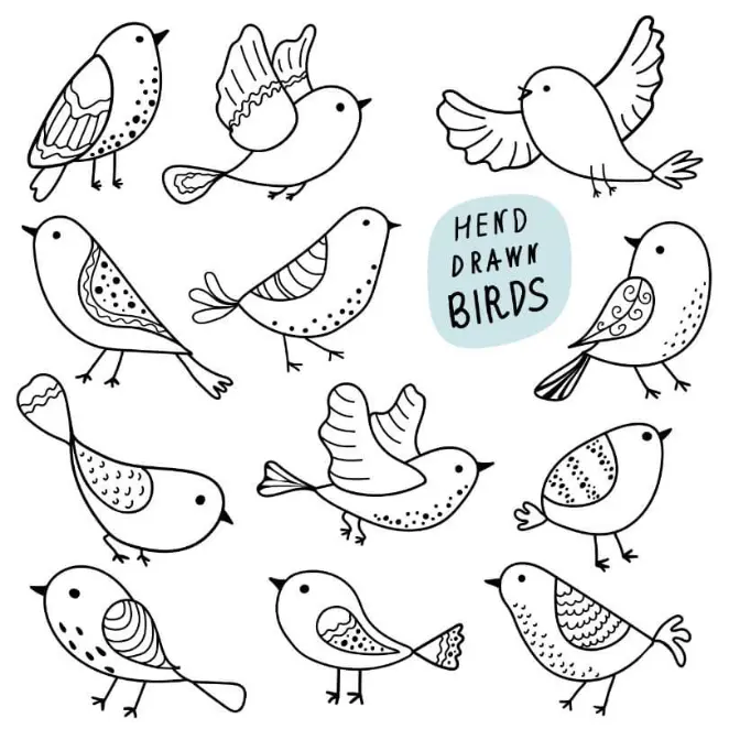 Free Bird Picture To Color In