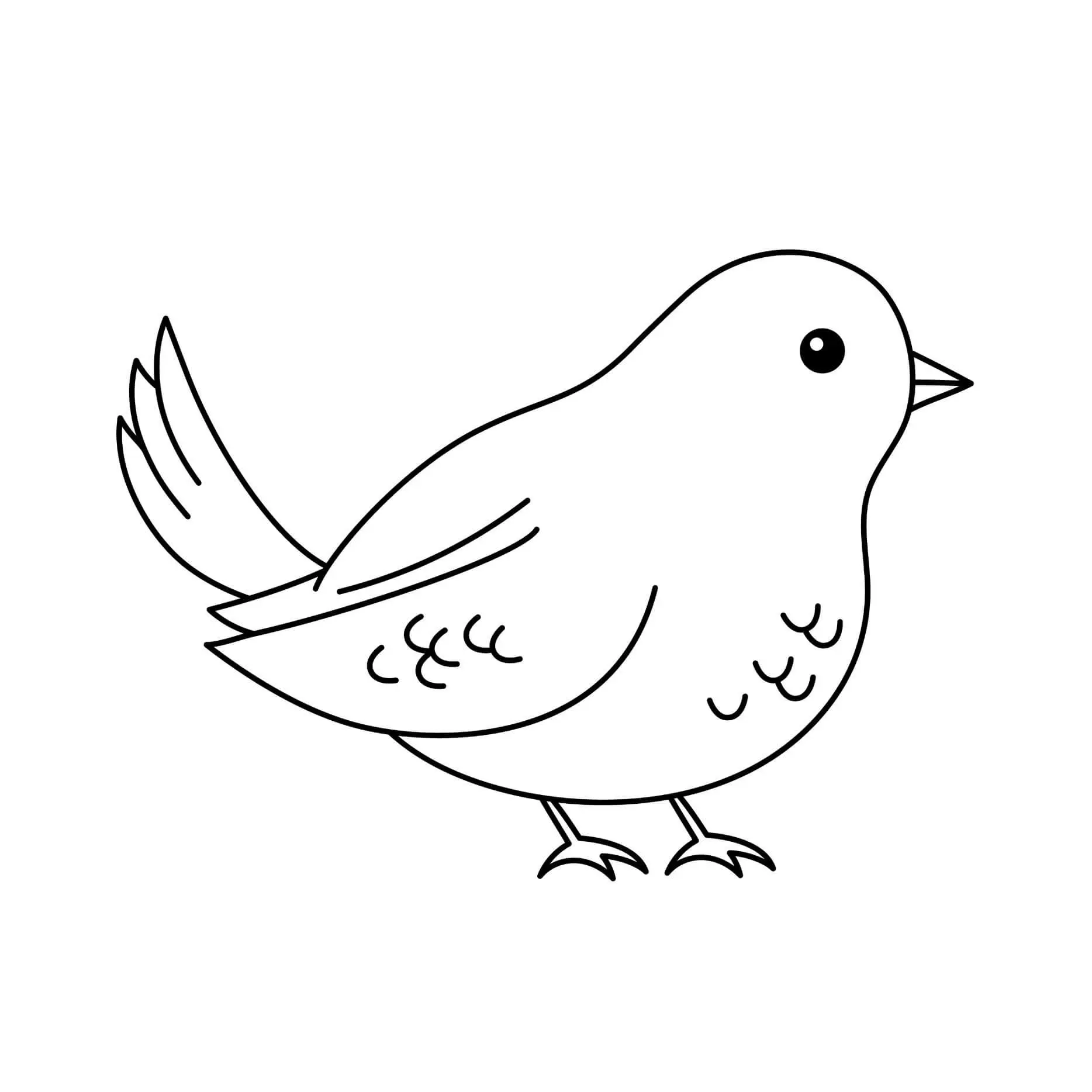 Free Bird Picture To Color In