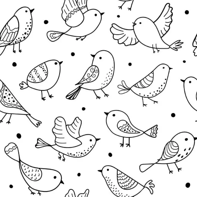 Free Bird Picture To Color In