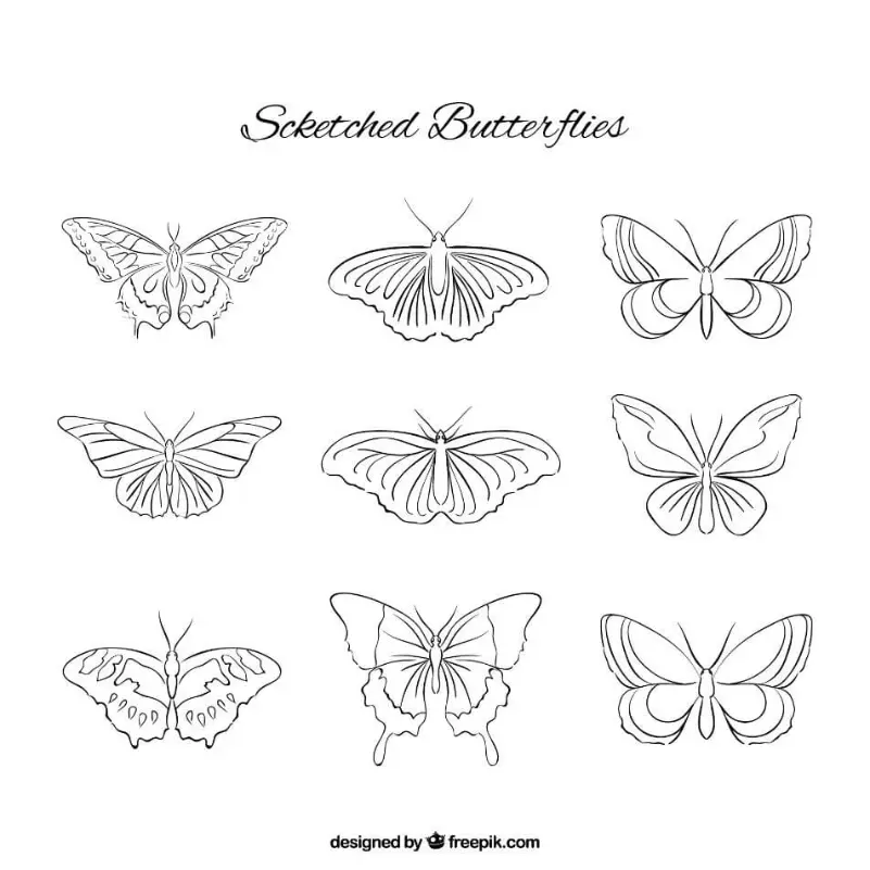 Free Butterfly Picture To Color In