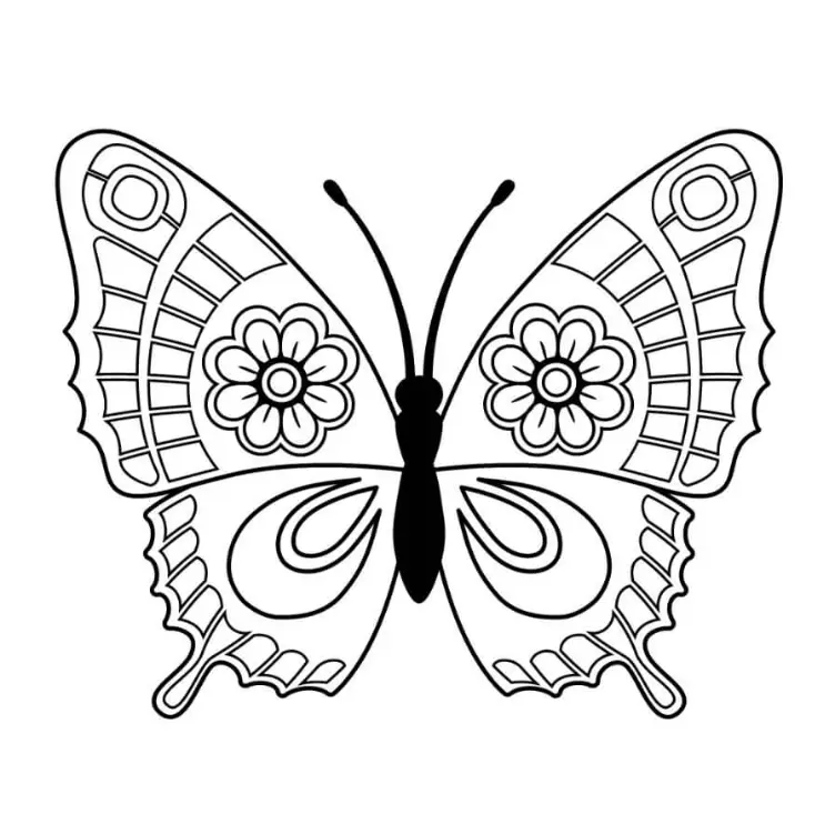 Free Butterfly Picture To Color In