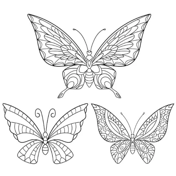 Free Butterfly Picture To Color In