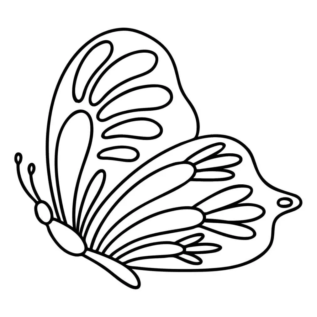 Free Butterfly Picture To Color In