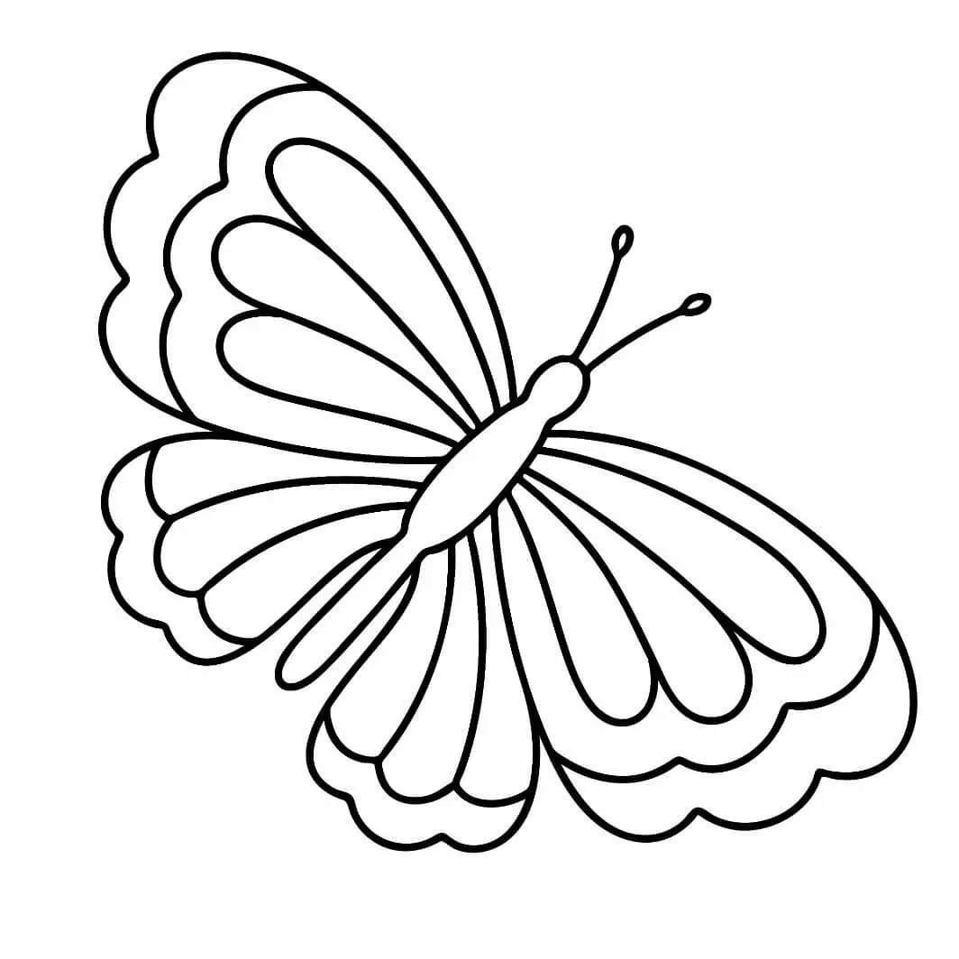 Free Butterfly Picture To Color In