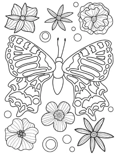 Free Butterfly Picture To Color In