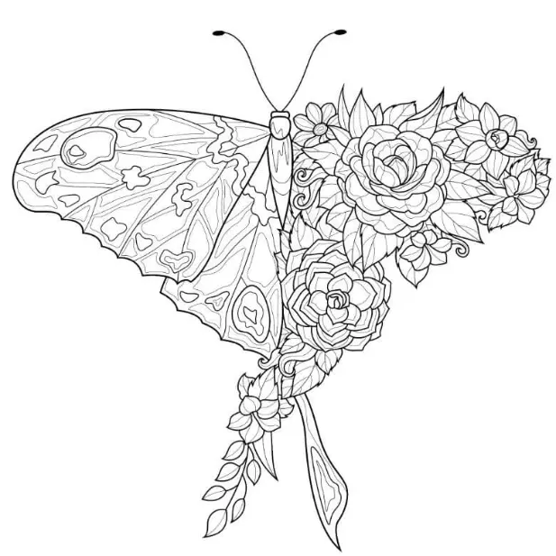 Free Butterfly Picture To Color In