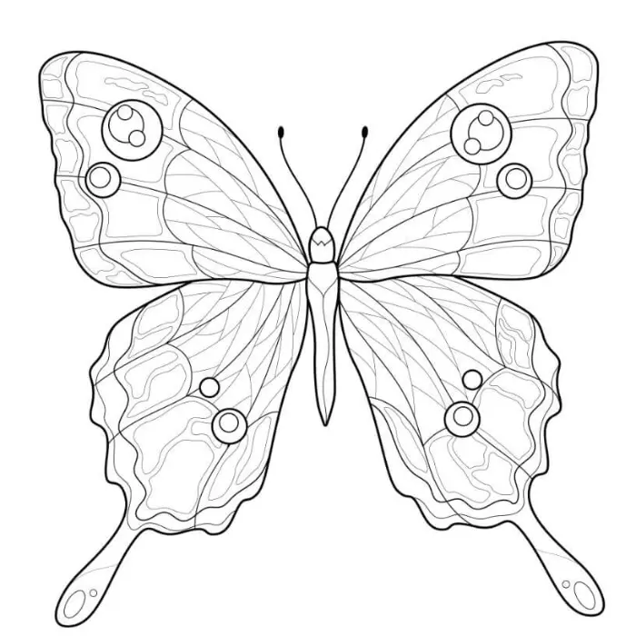 Free Butterfly Picture To Color In