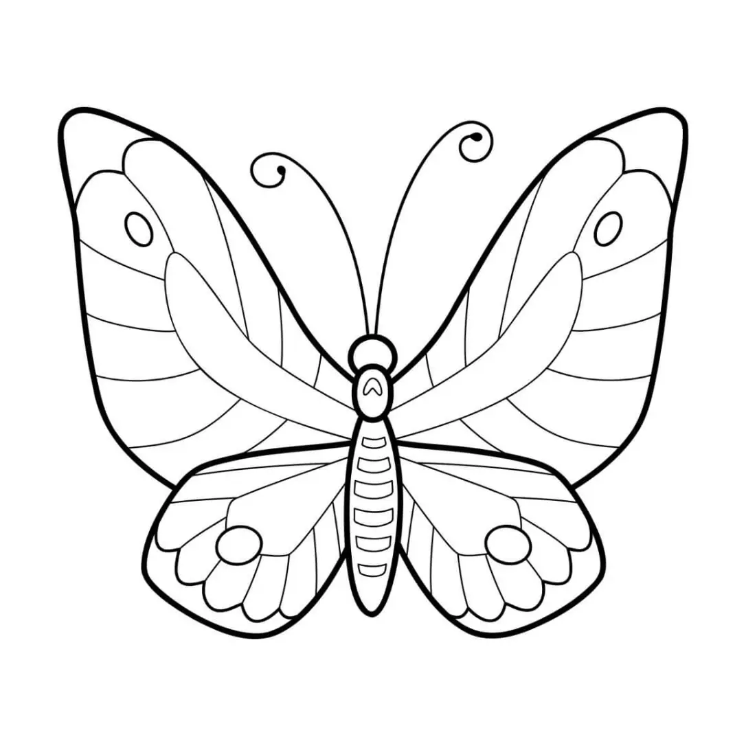 Free Butterfly Picture To Color In