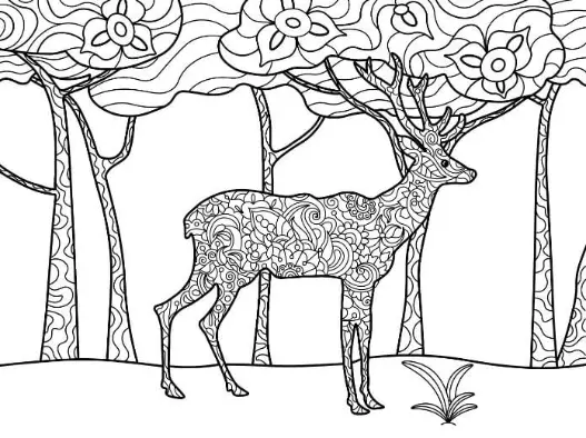 Free Deer Picture To Color In