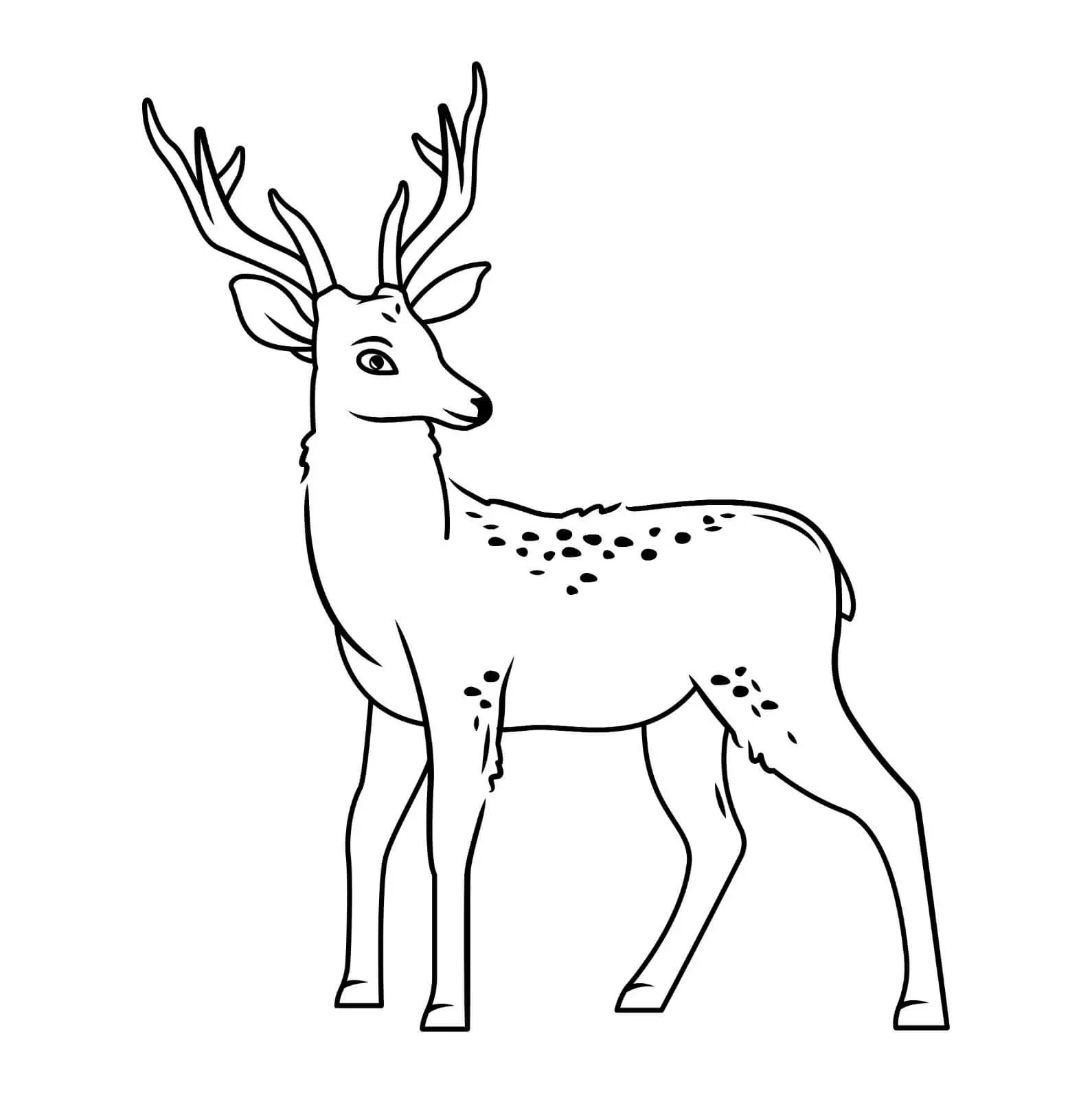 Free Deer Picture To Color In