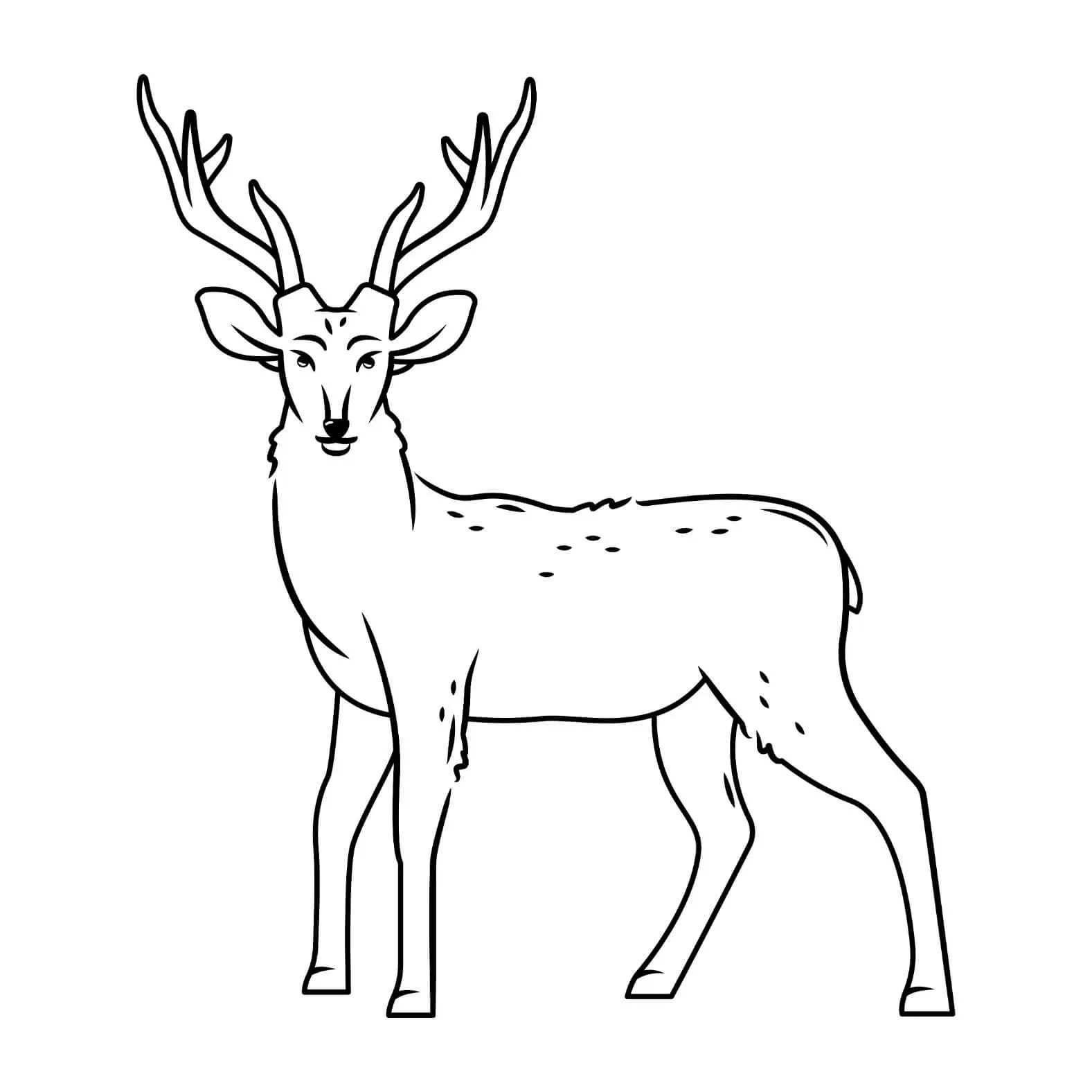 Free Deer Picture To Color In