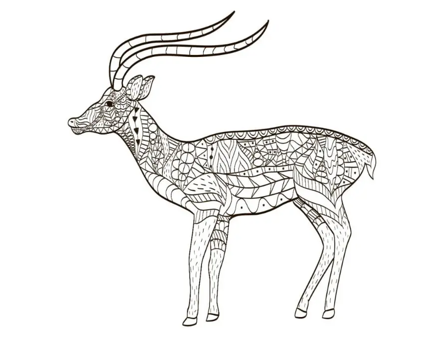 Free Deer Picture To Color In