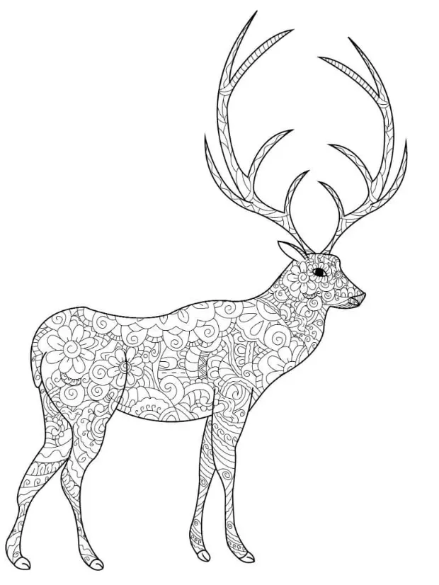 Free Deer Picture To Color In