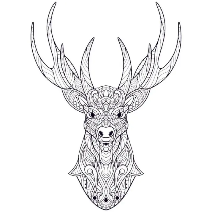 Free Deer Picture To Color In