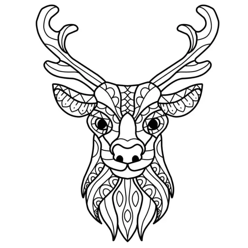 Free Deer Picture To Color In