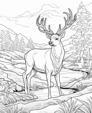 Free Deer Picture To Color In