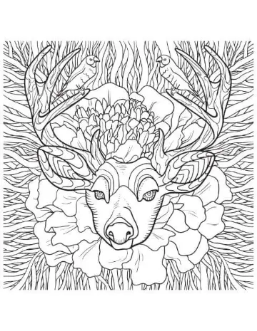 Free Deer Picture To Color In