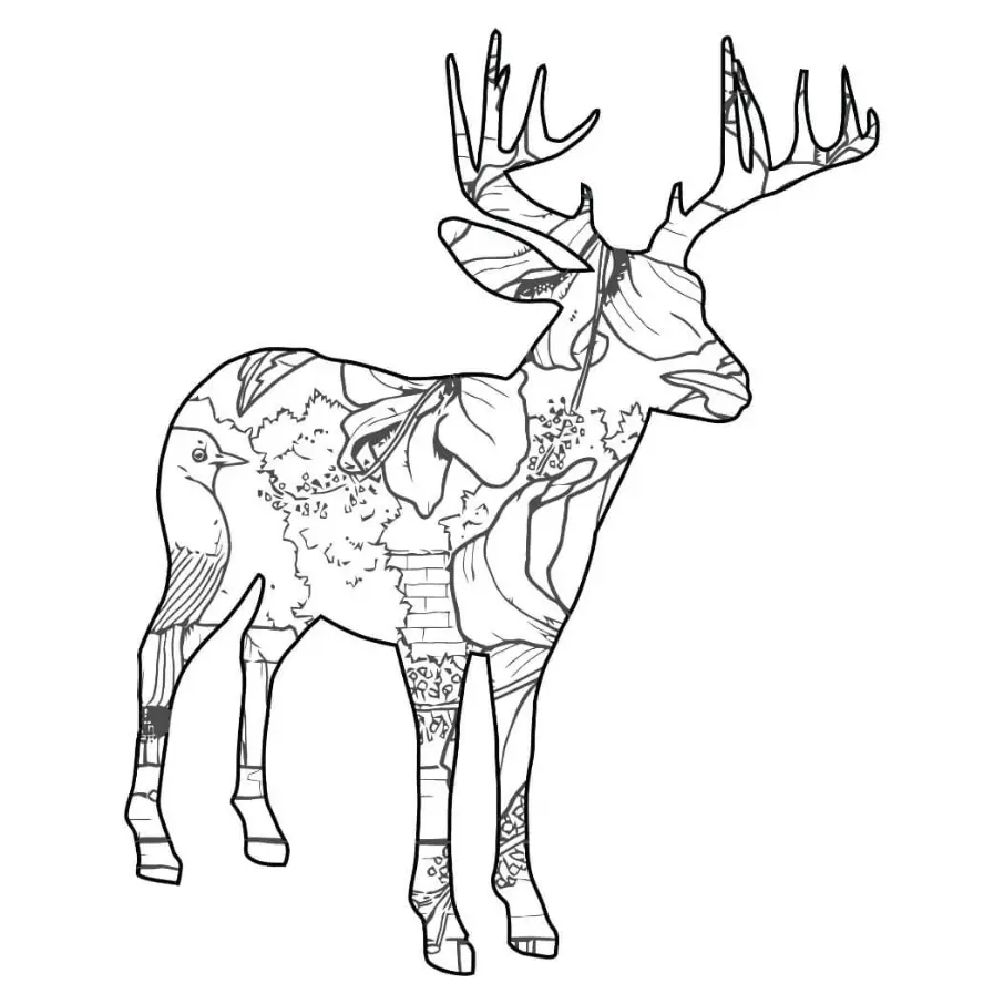 Free Deer Picture To Color In