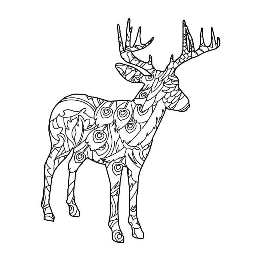 Free Deer Picture To Color In