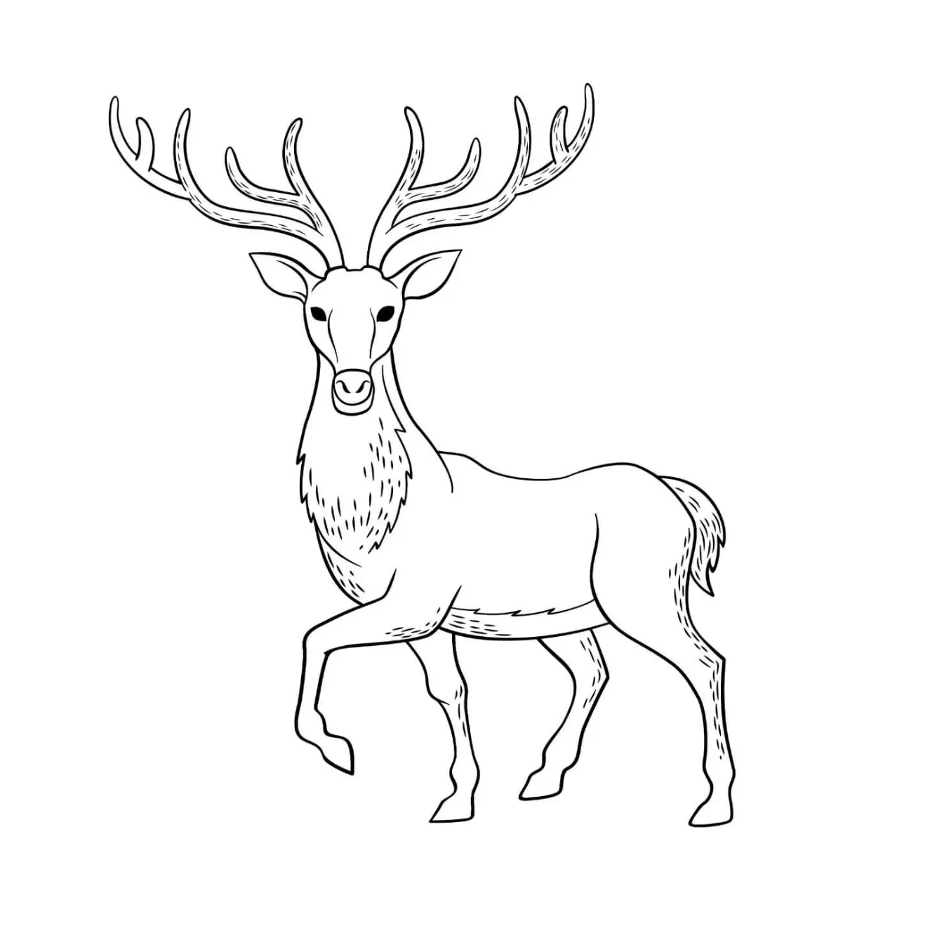 Free Deer Picture To Color In