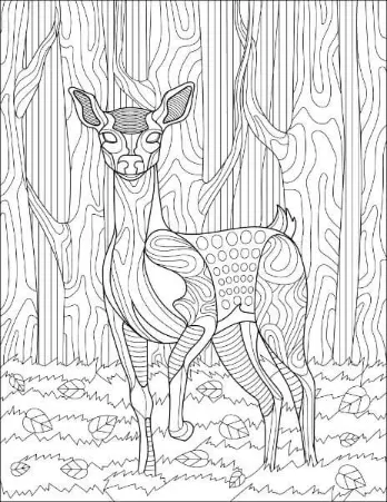 Free Deer Picture To Color In