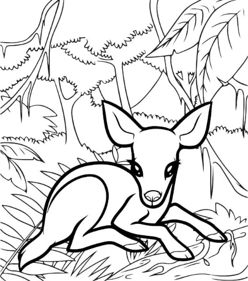 Free Deer Picture To Color In