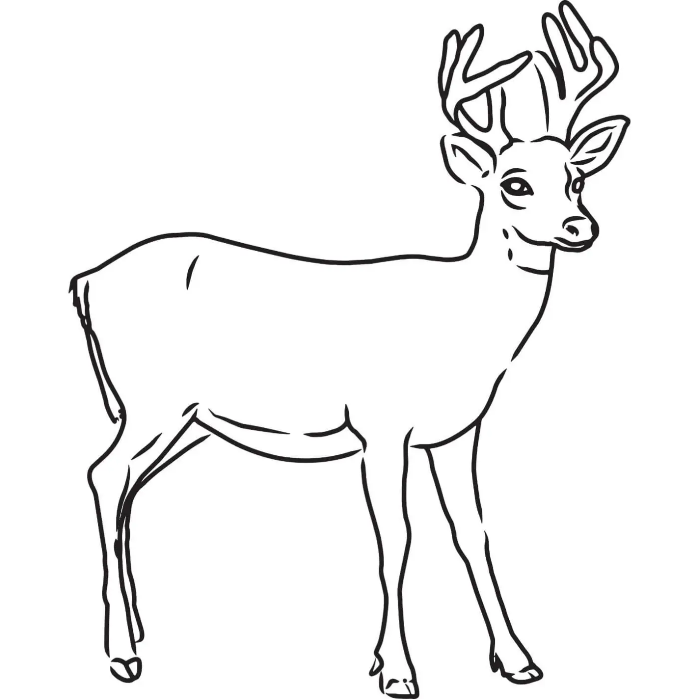 Free Deer Picture To Color In