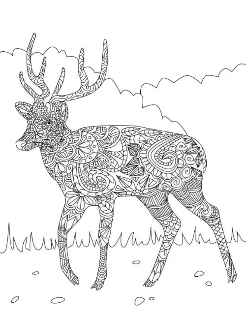 Free Deer Picture To Color In