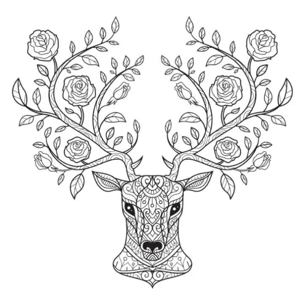 Free Deer Picture To Color In