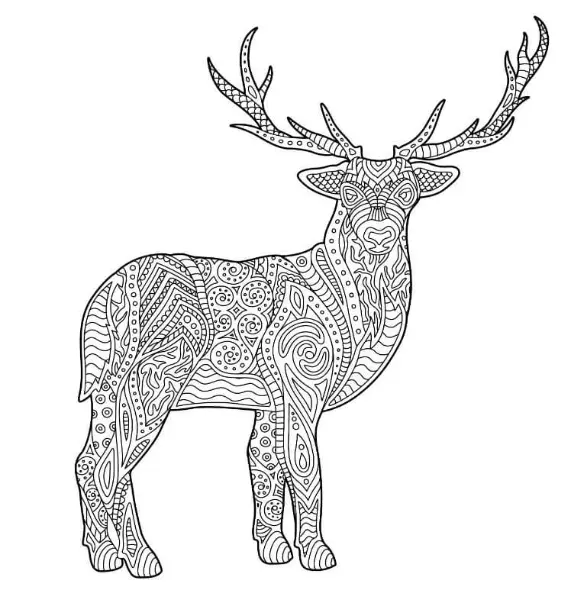 Free Deer Picture To Color In