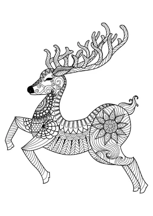 Free Deer Picture To Color In