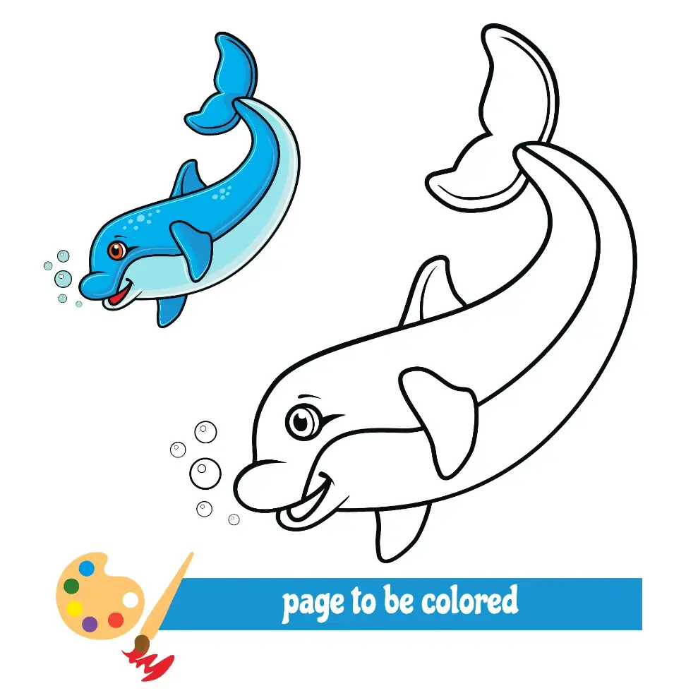 Free Dolphin Picture To Color In