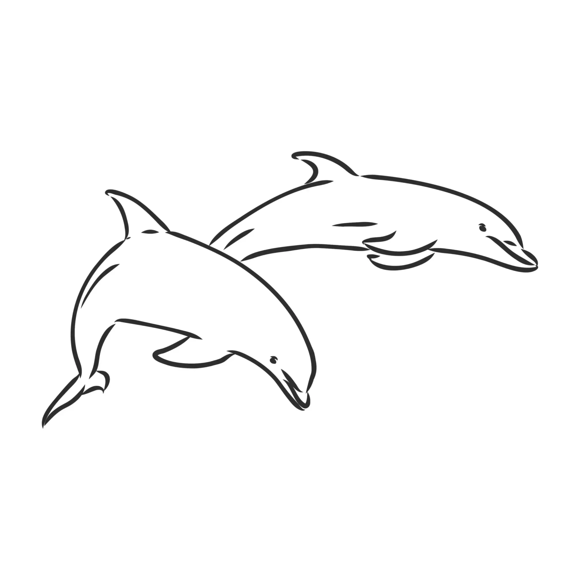 Free Dolphin Picture To Color In