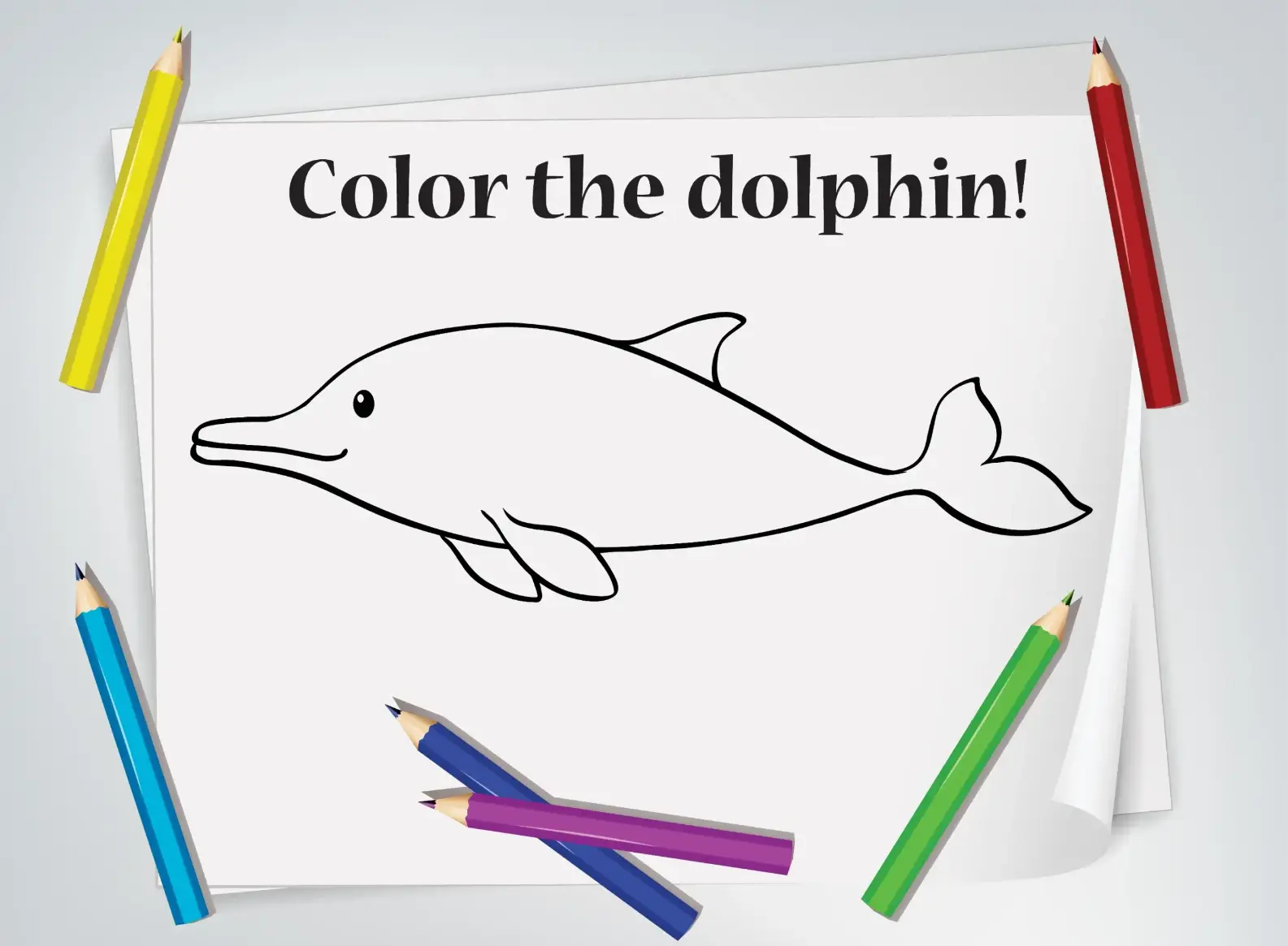 Free Dolphin Picture To Color In