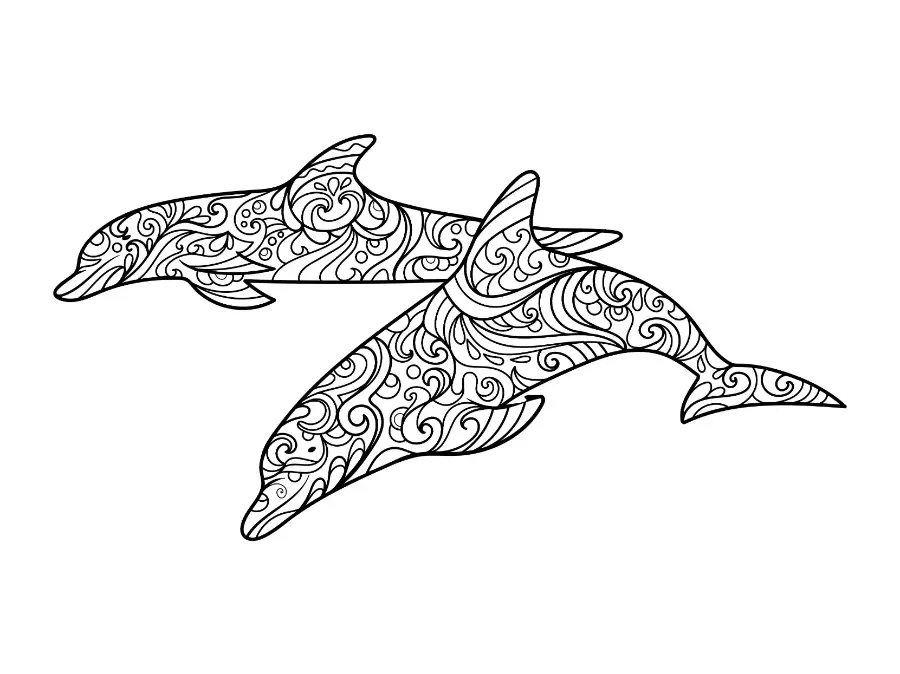 Free Dolphin Picture To Color In