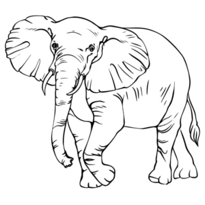 Free Elephant Picture To Color In