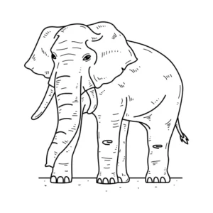 Free Elephant Picture To Color In