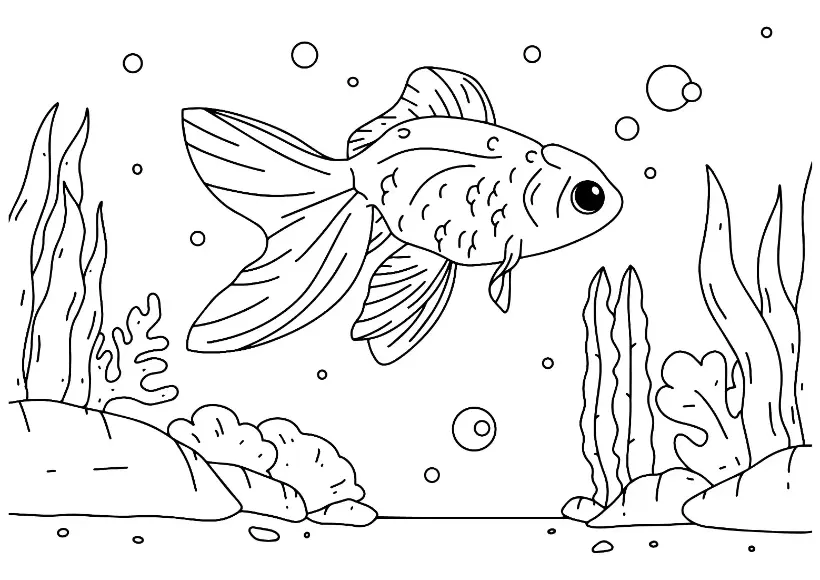 Free Fish Picture To Color In